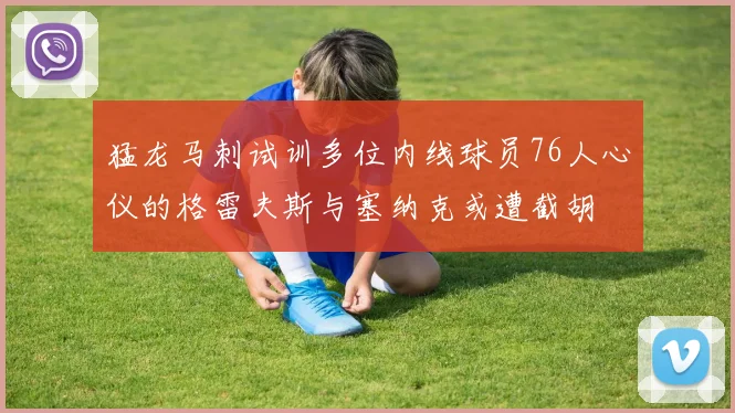 猛龙马刺试训多位内线球员76人心仪的格雷夫斯与塞纳克或遭截胡