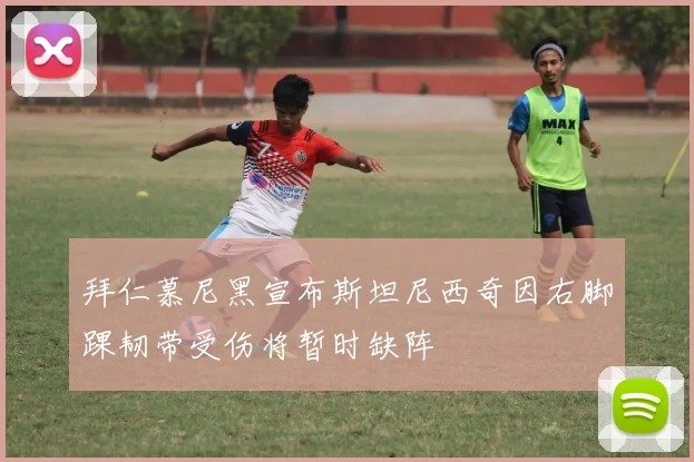 拜仁慕尼黑宣布斯坦尼西奇因右脚踝韧带受伤将暂时缺阵